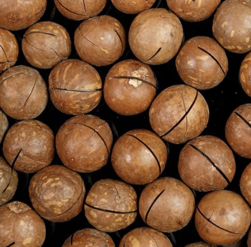 Горішки макадамія