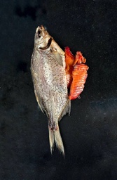 Dried Bream with Roe — Large Sun-Dried Ukrainian Fish
