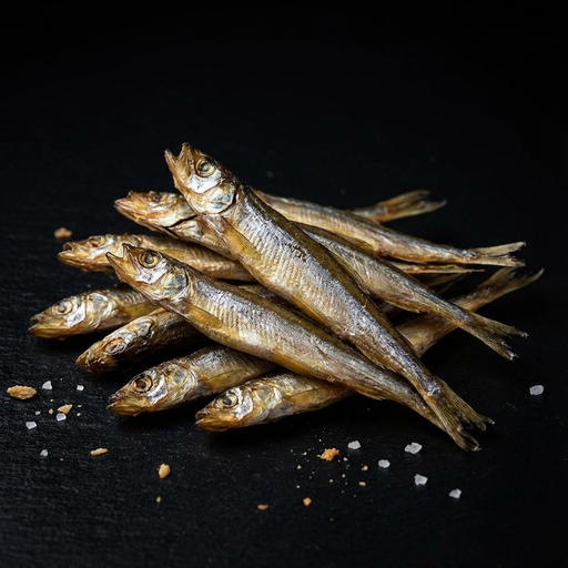 Корюшка балтійська